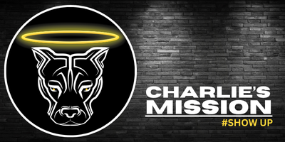 Charlie's Mission